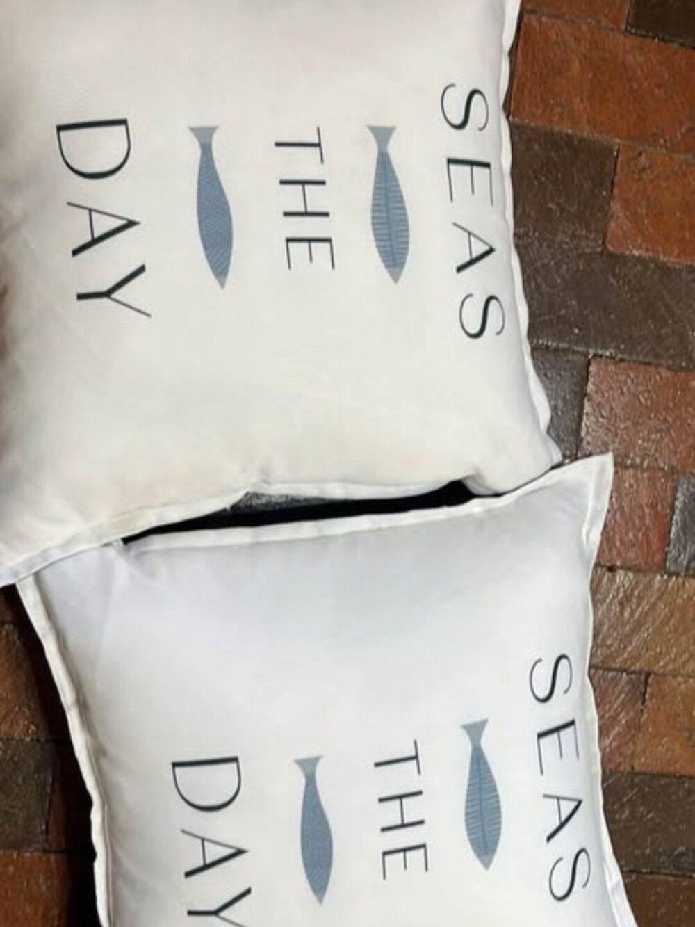 Pair of throw pillows Seas the Day reverses to Fish 15” X 15" 2316
